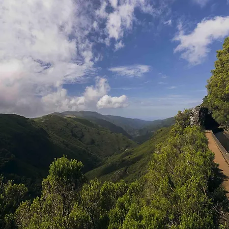 Ourmadeira - Terracesea