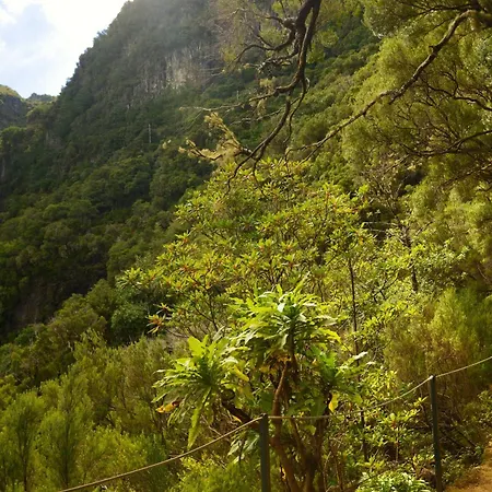 Ourmadeira - Terracesea דירה *