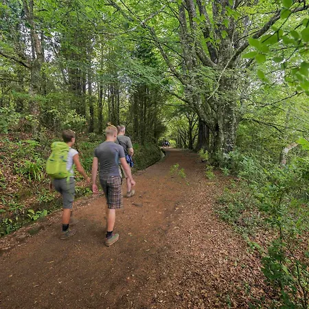 Ourmadeira - Terracesea