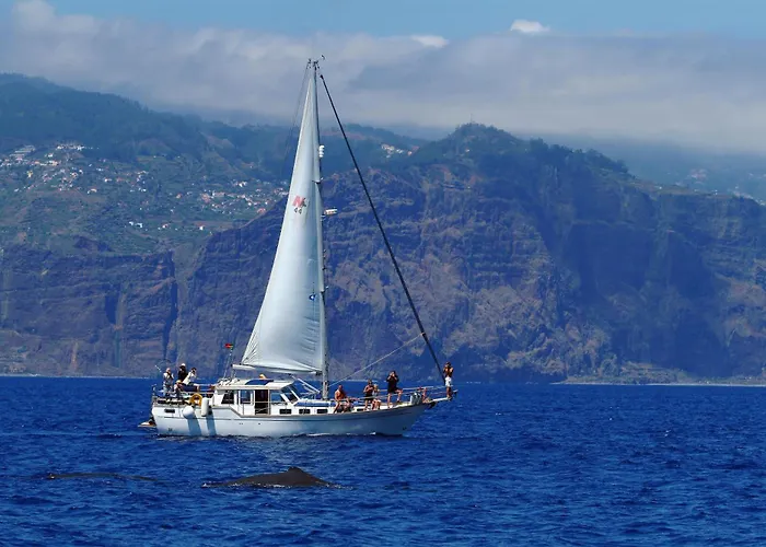 Ourmadeira - Terracesea ريبيرا برافا