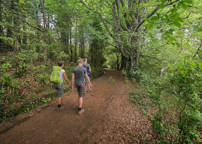 Ourmadeira - Terracesea