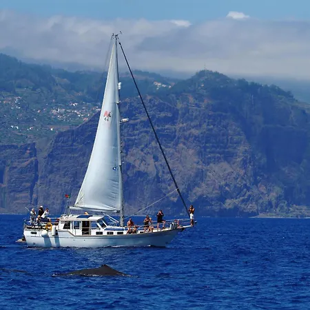 Rooftop Terracesea Alecrim Ribeira Brava