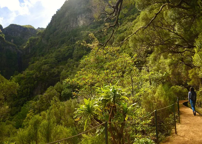 Ourmadeira - Terracesea Διαμέρισμα *